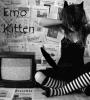 Emo Kitten