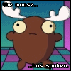 the moose has spoken