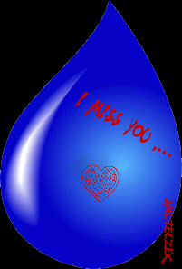 MISS You