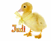 Duck Judi