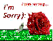 "I'm Sorry" Rose