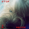 STOP ANIMAL ABUSE