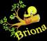 Briona Day