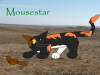Mousestar of LightClan