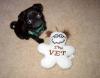 dog playing with a vet doll