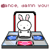Bunny Dance