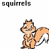 squirrels will take ova da world