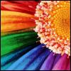rainbow flower