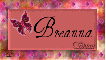Butterfly tag for Breanna