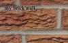 my brick wall