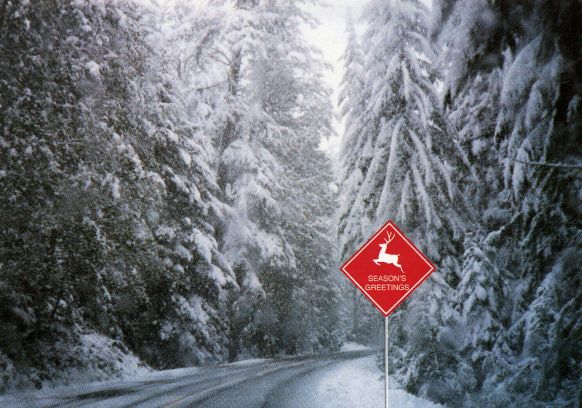 reigndeer crossing