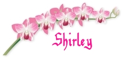 Shirley