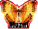 Butterfly Mazni