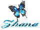 Zhana Blue Butterfly