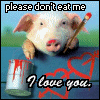 Don't Eat Pigs