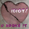 idiot! u broke it