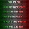 true mexican