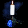 White Candle and Blue Rose