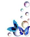 Butterflys and Bubbles
