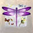 Purple Dragonfly and Butterflies