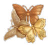 gold butterflys