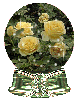 yellow roses globe