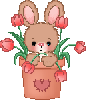 Cute Rabbit with flowers