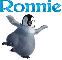 Ronnie-Penguin