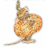 pumpkin mouse