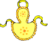 Yellow apron