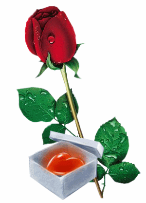 heart w flower