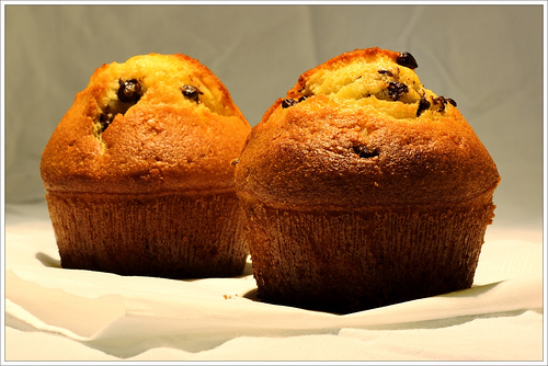 muffins