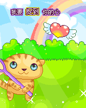 cute cat hunting butterflies