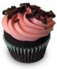 Pink and Chocolate Cupcake