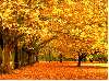 fall outside