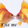 kiss me.