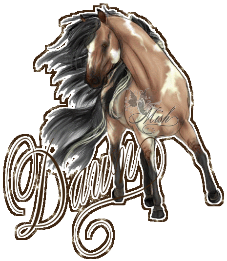 dawn wild horse