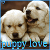 pupy love
