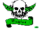 taylor green skull