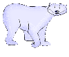 polar bear
