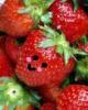 Kawaii Cute Strawberries!!