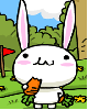 cute kawaii carrot bunny
