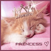 Cat is Princess