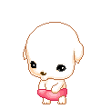 cute kawaii lil puppy
