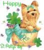 Happy St pattys day puppy