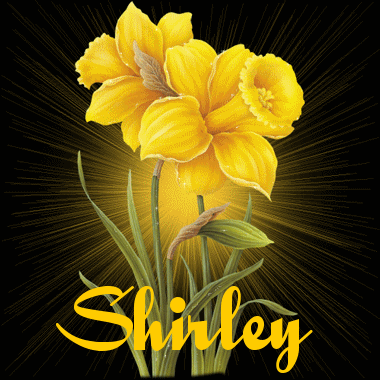 Shirley