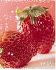cute kawaii strawberry