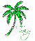 Traci-palm tree
