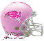 NewEngland Helmet with Glitter and Name