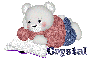 Reading Bear with Glitter and Name